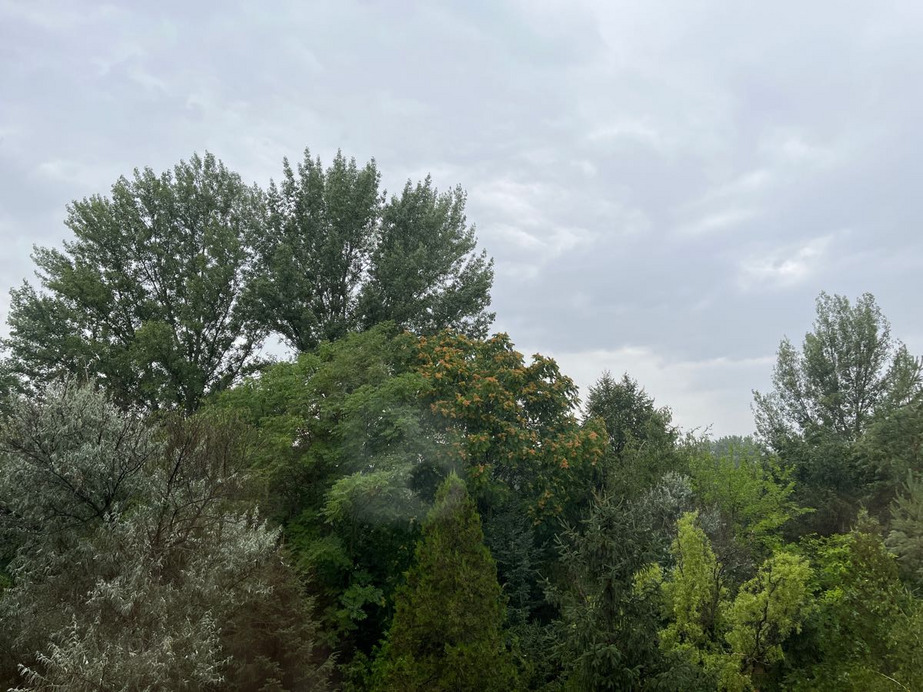 Dunakeszi