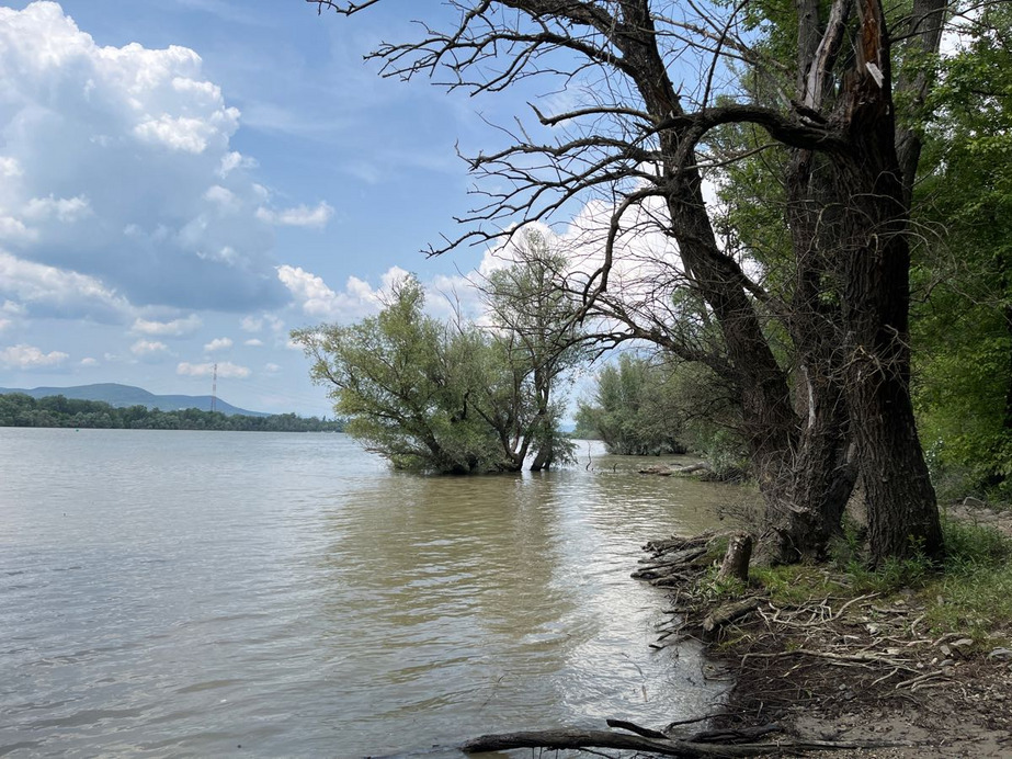 Dunakeszi