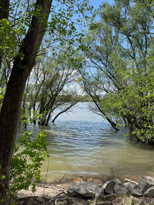 Dunakeszi