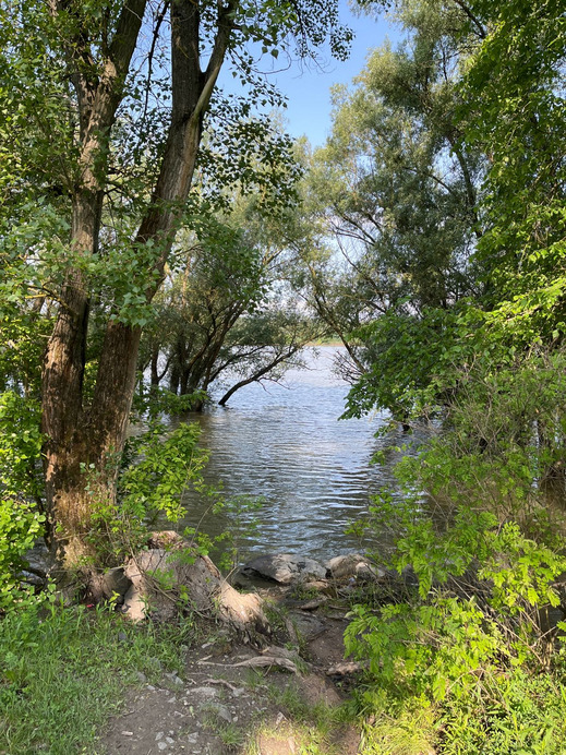 Dunakeszi
