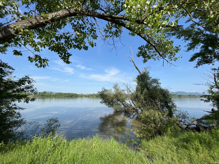 Dunakeszi