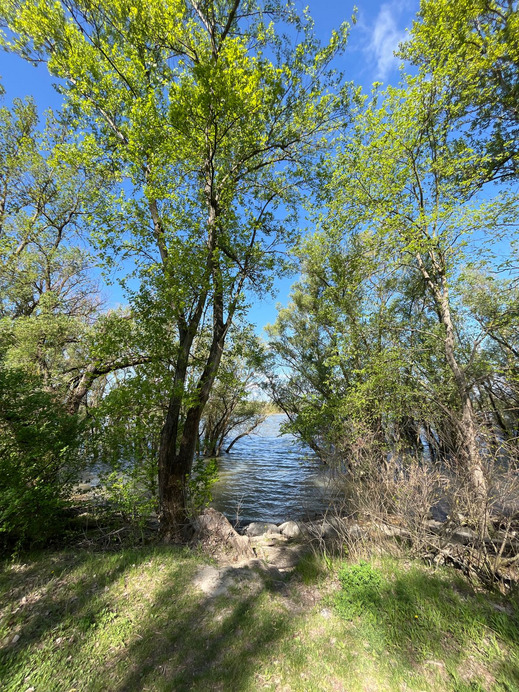 Dunakeszi