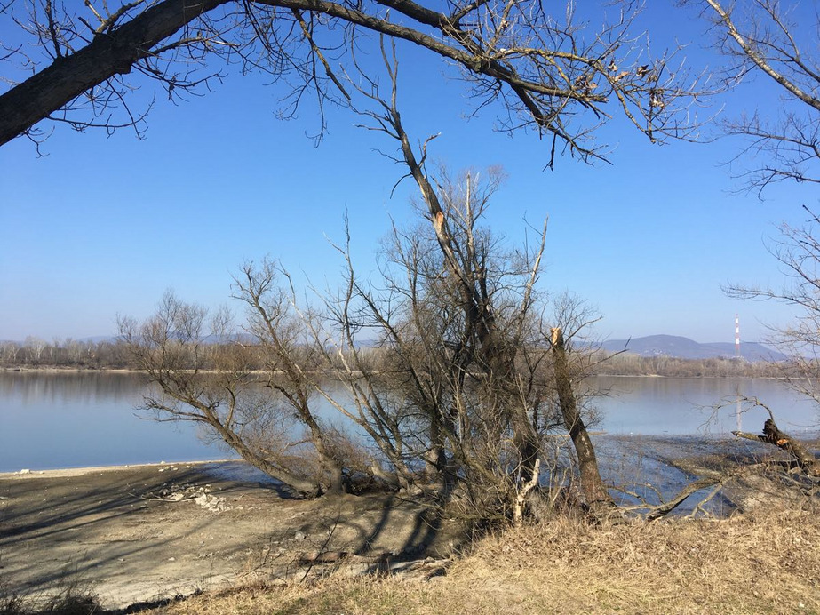 Dunakeszi