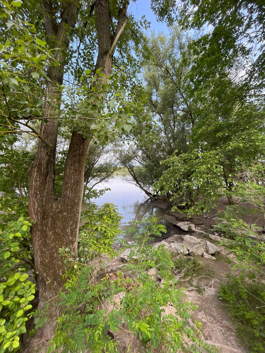 Dunakeszi