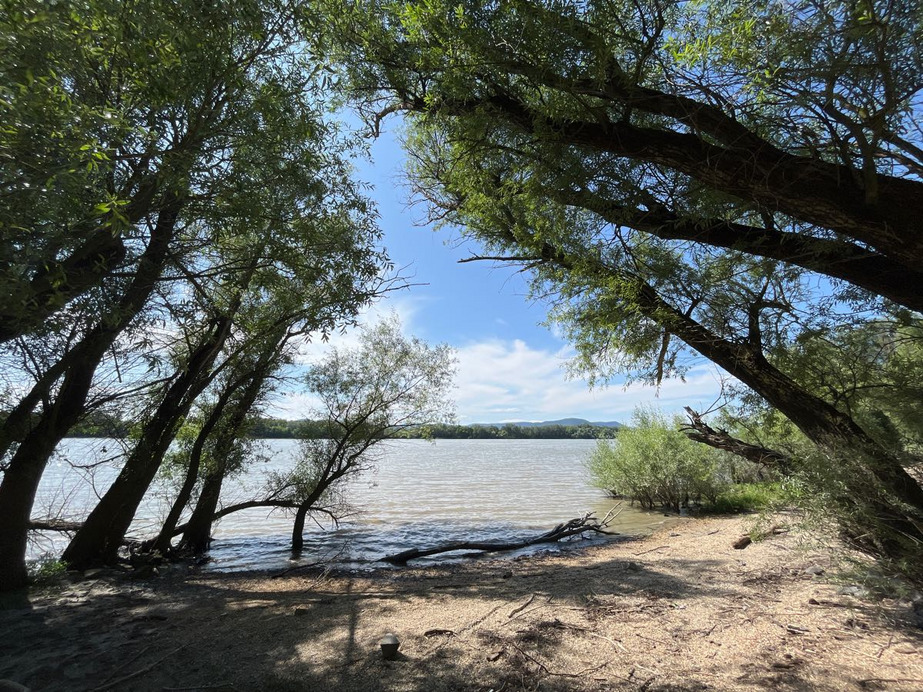 Dunakeszi