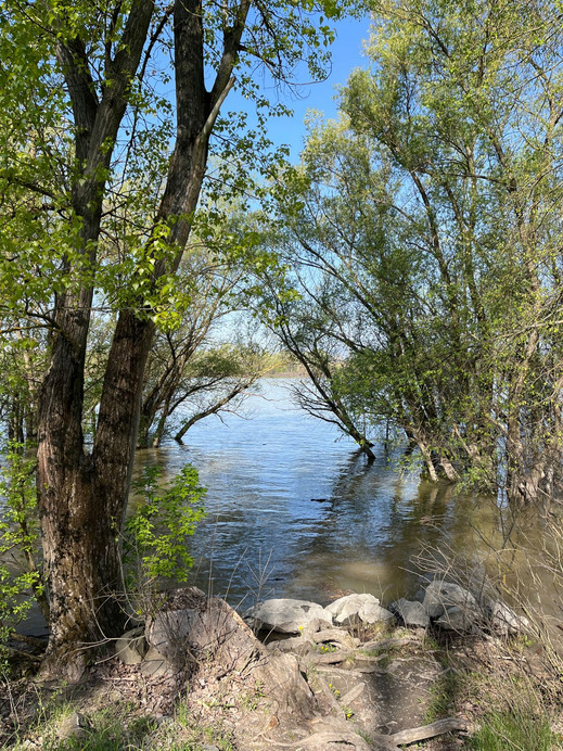 Dunakeszi