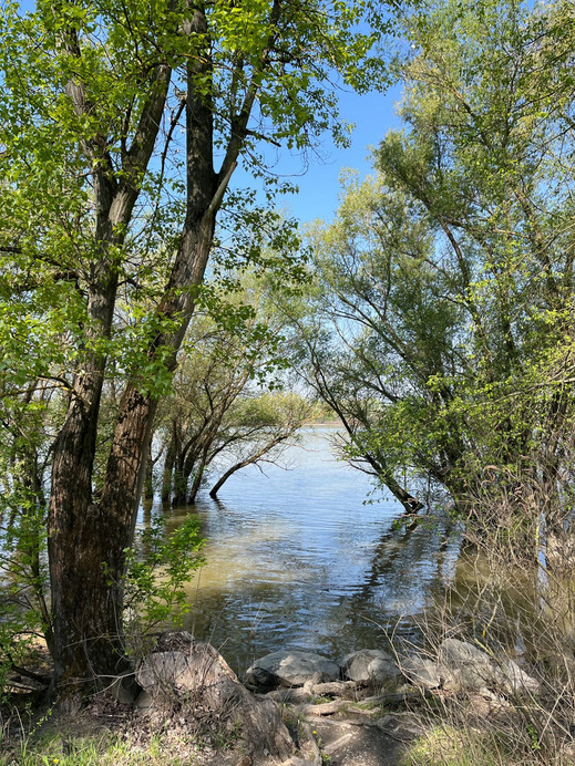 Dunakeszi