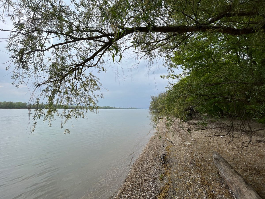 Dunakeszi