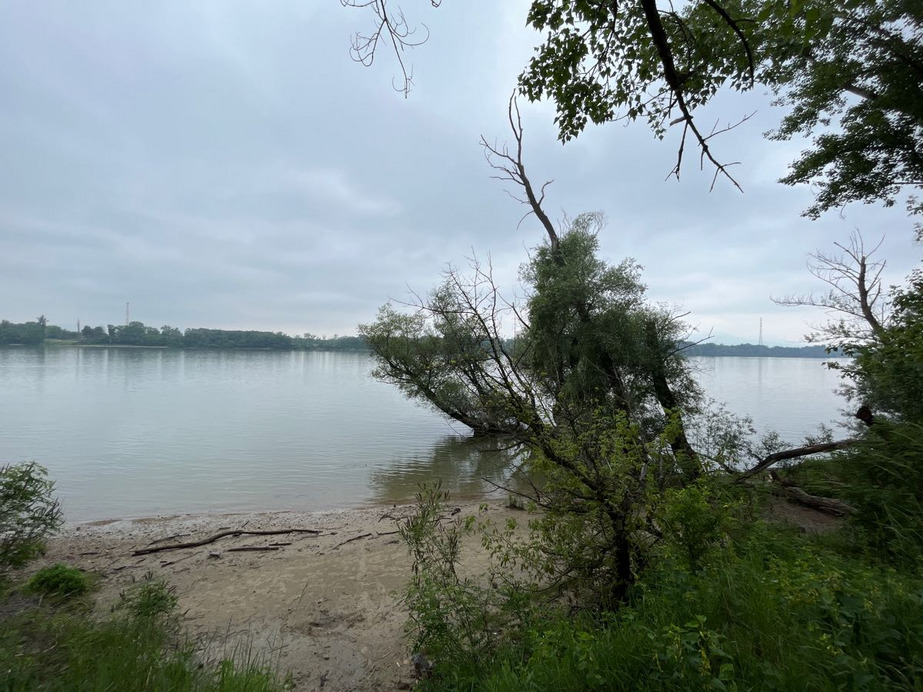 Dunakeszi