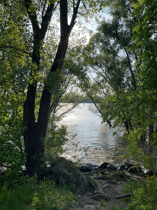 Dunakeszi