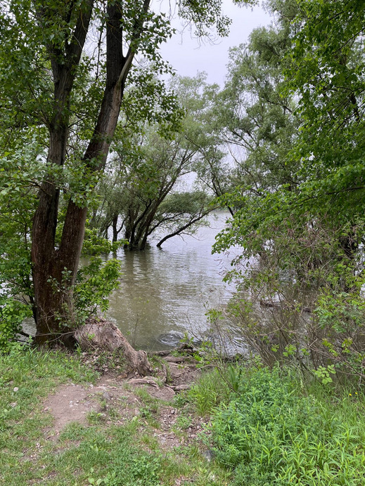 Dunakeszi