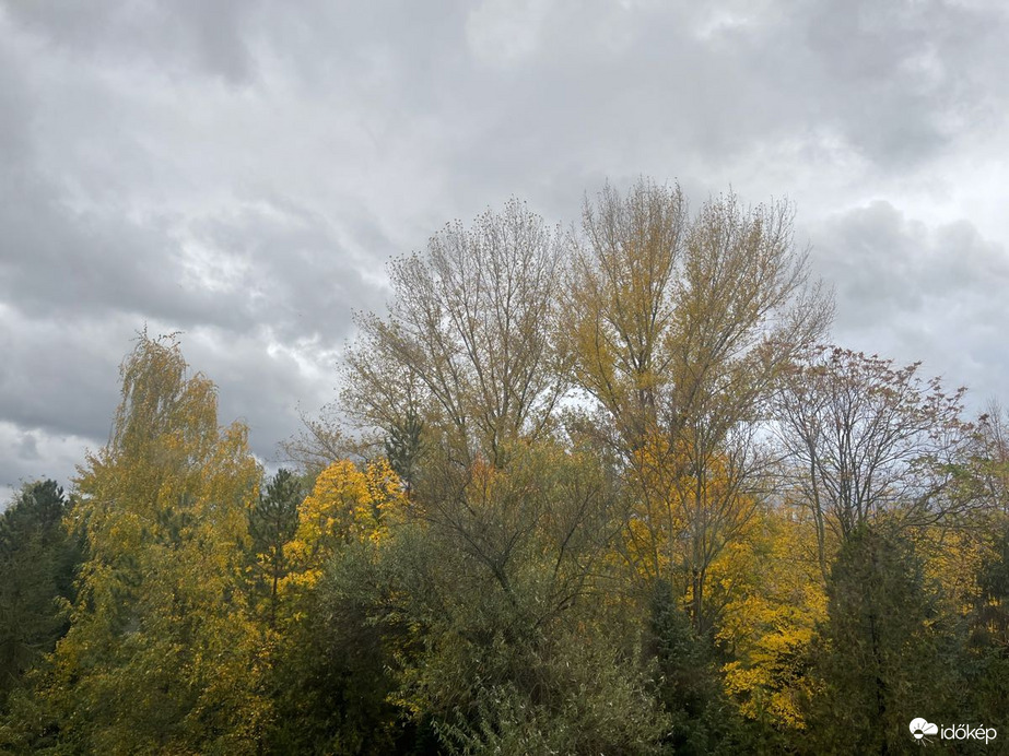 Dunakeszi