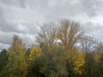Dunakeszi