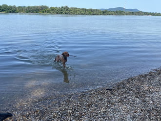 Dunakeszi