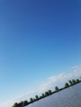 Tiszaigar