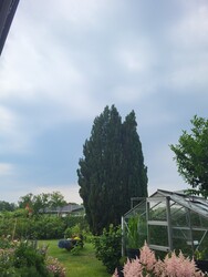 Ulkebøl