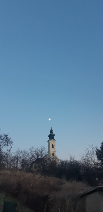 Harsány