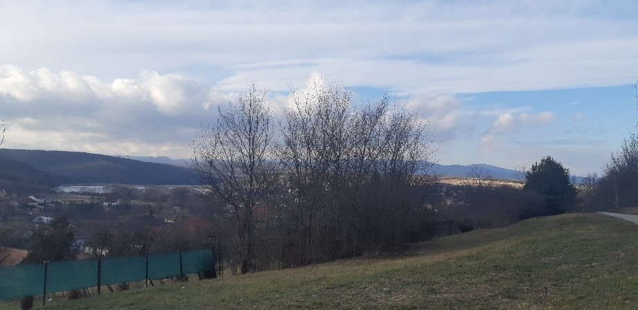 Harsány