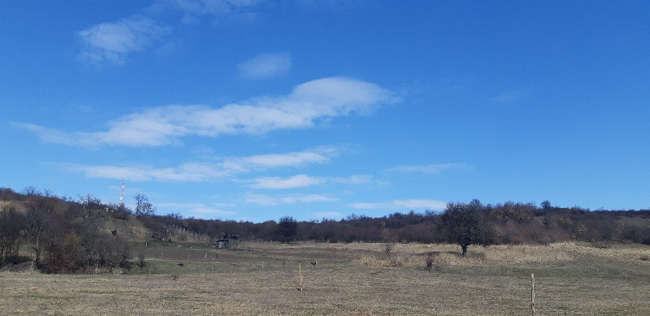 Harsány