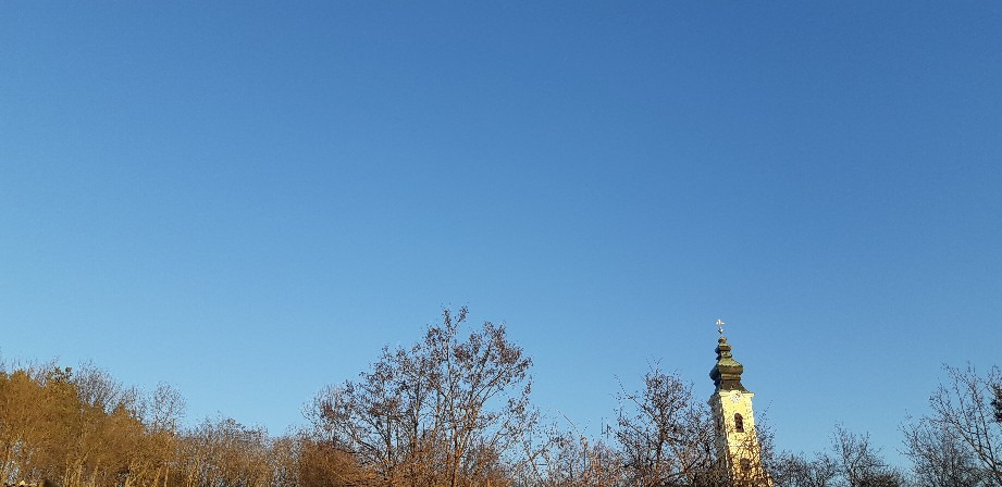 Harsány