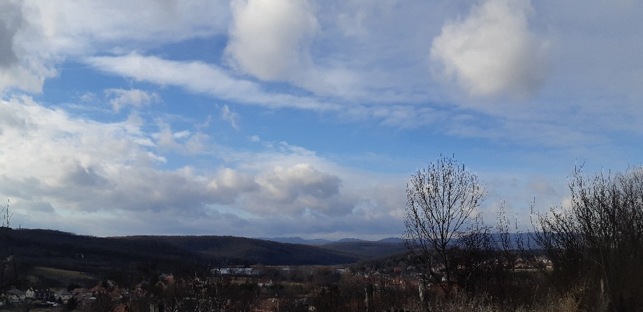 Harsány