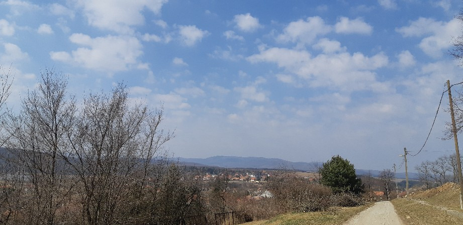Harsány