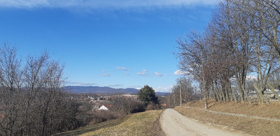 Harsány