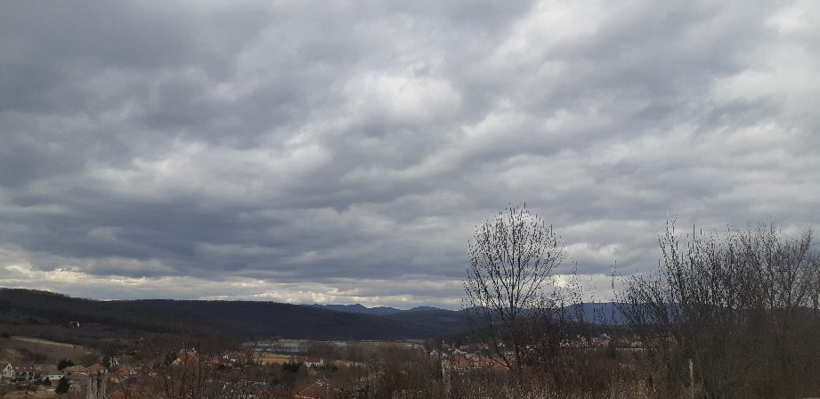 Harsány