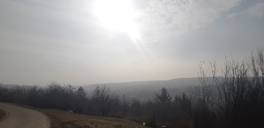 Harsány