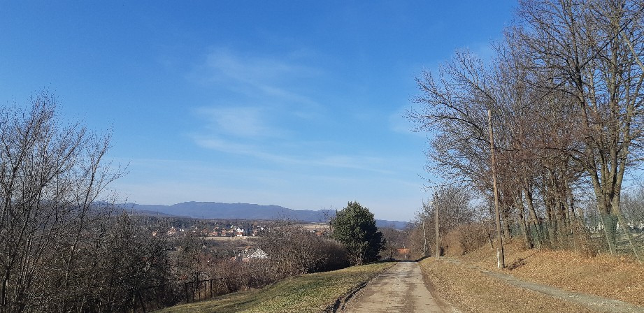 Harsány