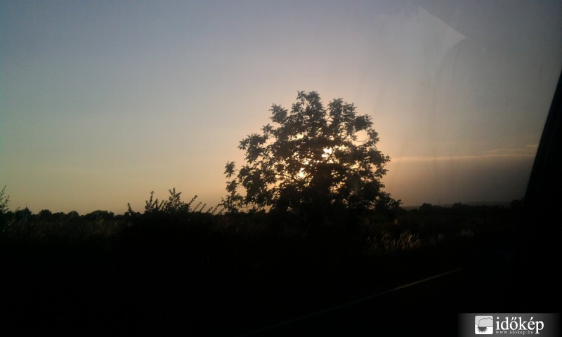 sun behind the tree