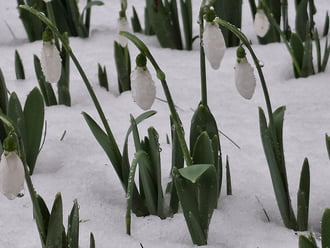 Ázottan, havasan, de nem fagyosan! :)
