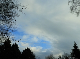 Dunabogdány