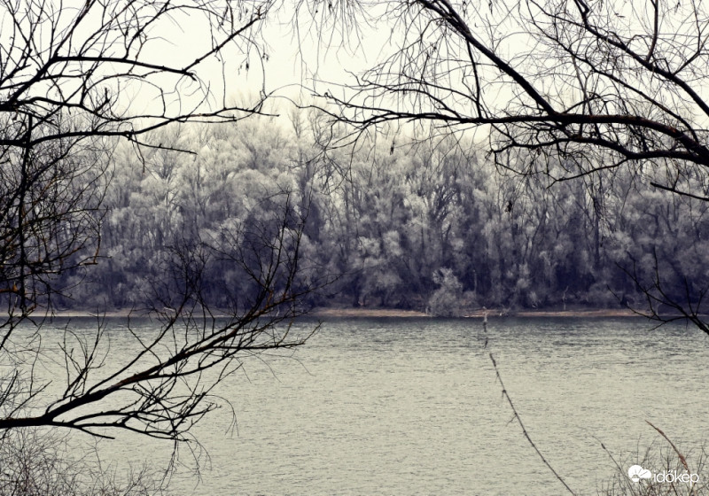 Duna parti zúzmarás