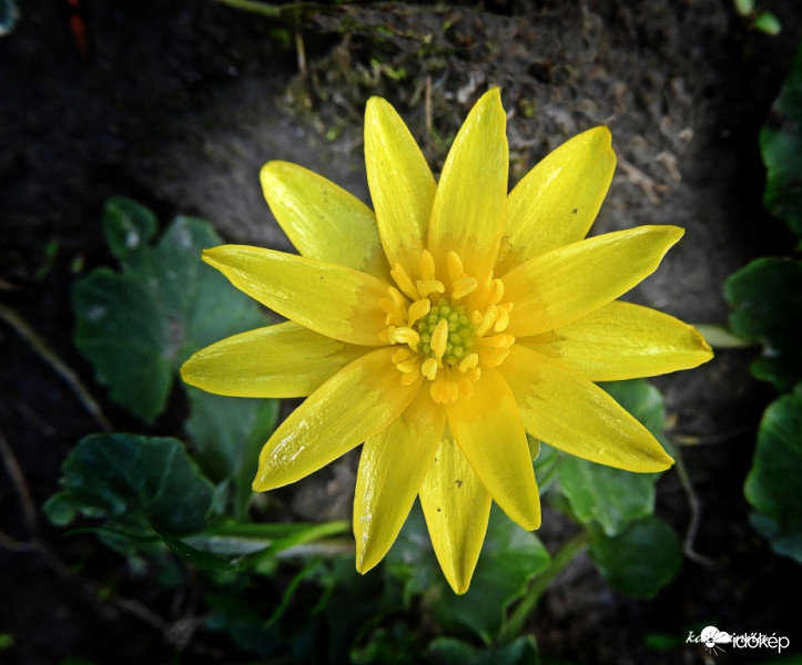 Ha már tavasz van....