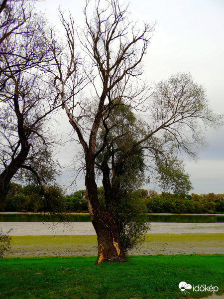 Kis Duna-ág a Dunakanyarban