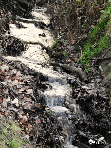 Lépcsőzik egy patak a Dunába