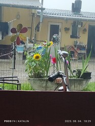 Sáta
