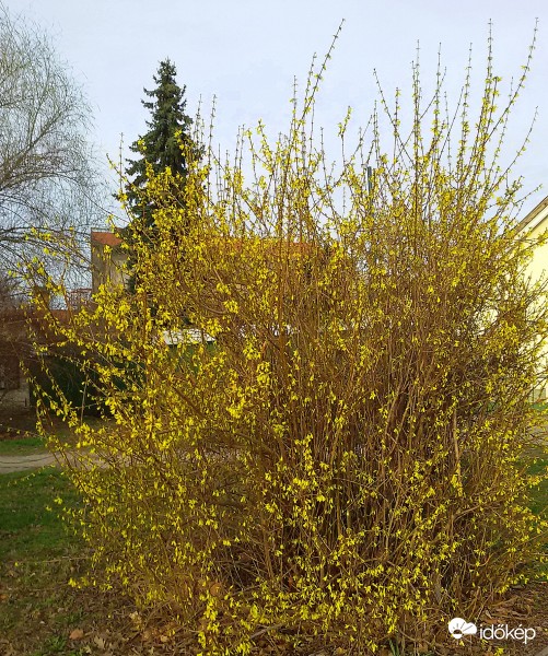 Visszavonhatatlanul