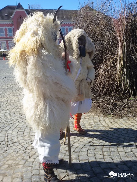 Mohácson