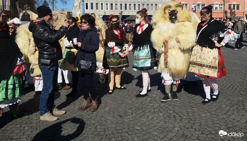 Foto Gének 