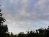 Balatonszőlős