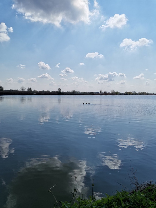 Sárbogárd