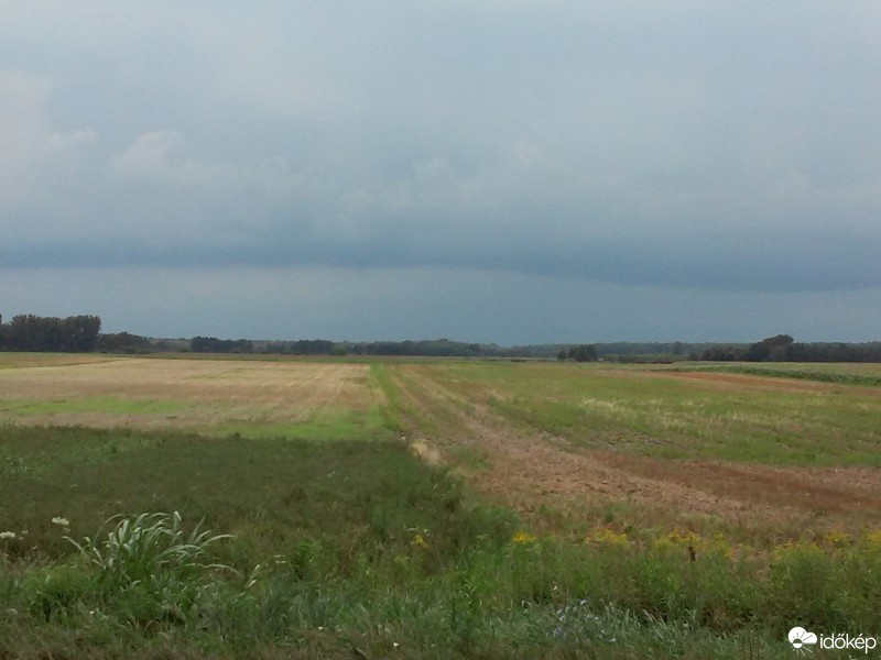Bolhó