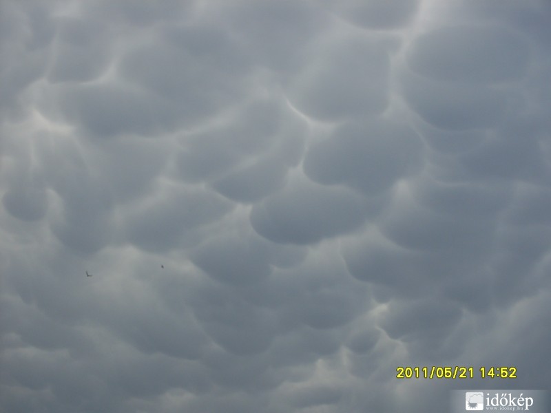 Mammatus Bolhón