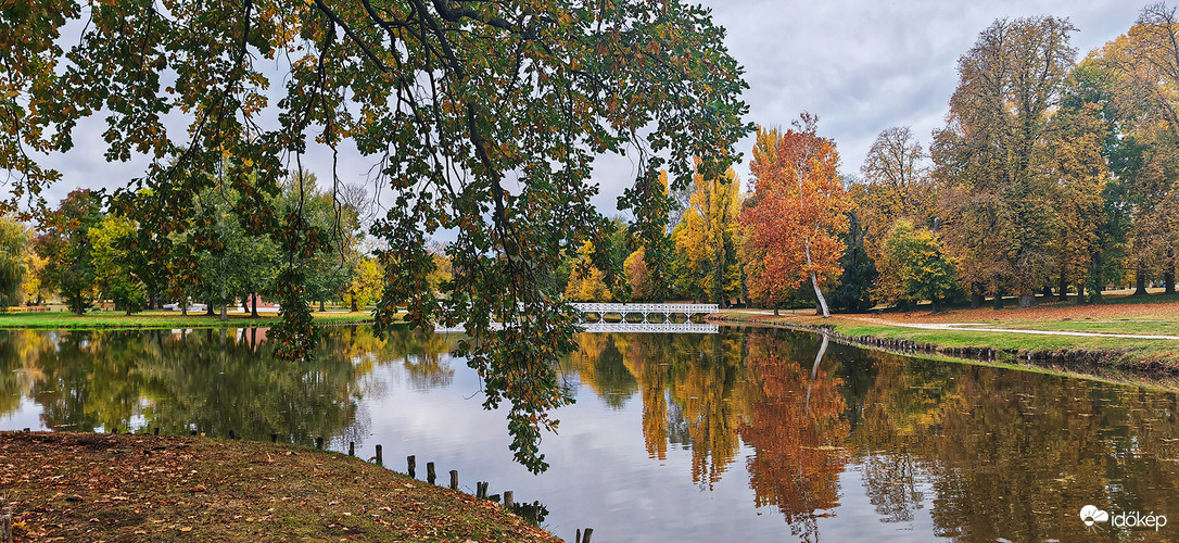 kazohorvathdora fotója