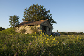 Nyári délután