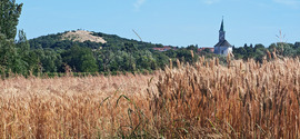 Veszprémfajsz látképe
