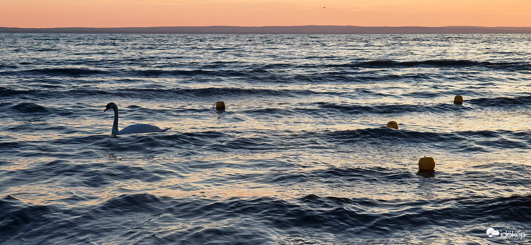kazohorvathdora fotója