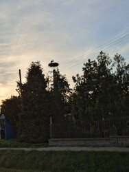 Külsővat